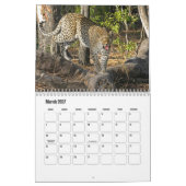 Leopards Calendar Kalender (Mar 2027)