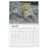 Leopards Calendar Kalender (Feb 2027)