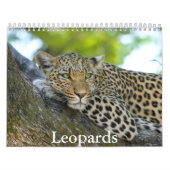 Leopards Calendar Kalender (Hoes)