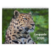 Leopards Calendar Kalender (Hoes)
