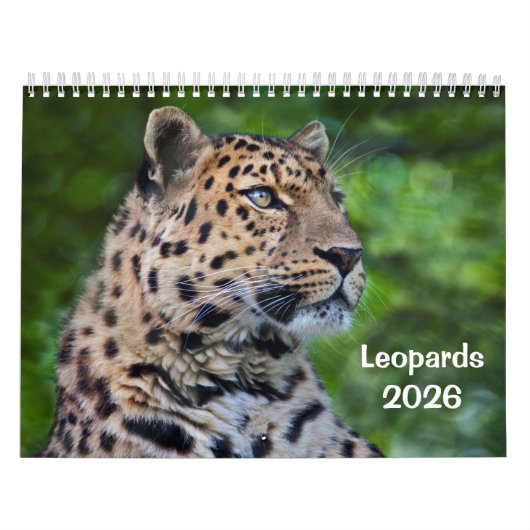 Leopards Calendar Kalender (Hoes)