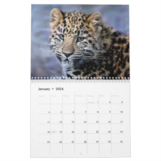 Leopards Calendar Kalender (Jan 2026)