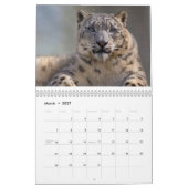 Leopards Calendar Kalender (Mar 2027)