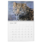 Leopards Calendar Kalender (Jan 2027)
