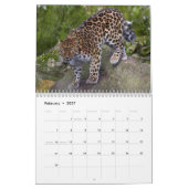 Leopards Calendar Kalender (Feb 2027)