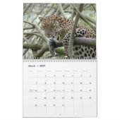 Leopards Calendar, Leopards Kalender (Mar 2027)