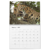 Leopards Calendar, Leopards Kalender (Feb 2027)