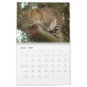 Leopards Calendar, Leopards Kalender (Mar 2027)