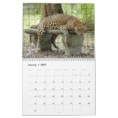 Leopards Calendar, Leopards Kalender (Jan 2027)