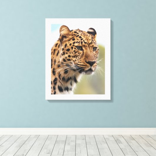 Leopard's Intense Gaze Canvas Afdruk (Insitu (Houten vloer))
