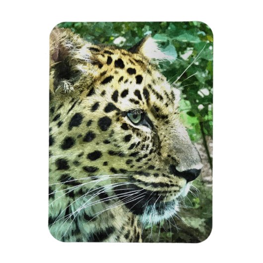LEOPARDS MAGNEET (Verticaal)