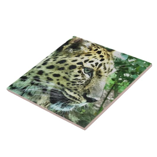 LEOPARDS TEGELTJE (Zijkant)