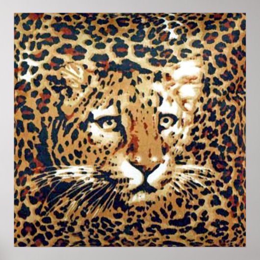 Leopardverf Poster (Voorkant)