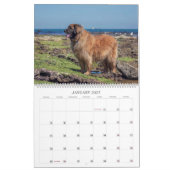 Leos in Oz Kalender (Jan 2027)
