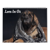 Leos in Oz Kalender (Hoes)