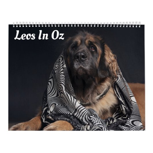 Leos in Oz Kalender (Hoes)