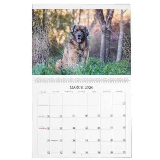 Leos in Oz Kalender (Mar 2026)