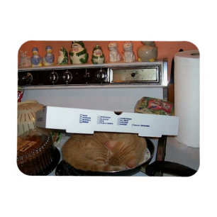 Leo's Pizza Blanket Magneet
