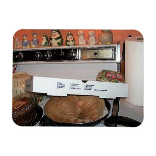 Leo's Pizza Blanket Magneet