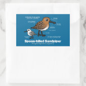 Lepel-billed Sandpiper Statistieken Rechthoekige Sticker (Tas)