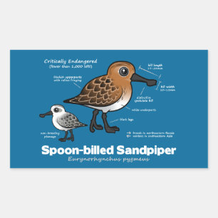 Lepel-billed Sandpiper Statistieken Rechthoekige Sticker
