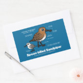Lepel-billed Sandpiper Statistieken Rechthoekige Sticker (Envelop)