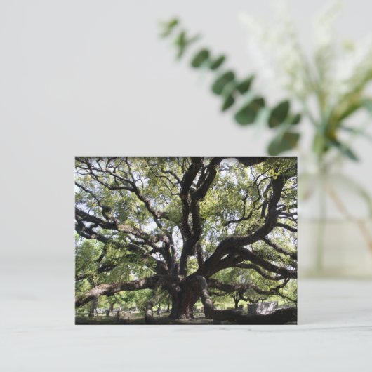 lepel briefkaart (Staand voorkant)