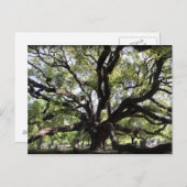 lepel briefkaart (Voorkant / Achterkant)