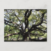 lepel briefkaart (Voorkant)