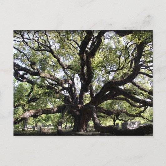 lepel briefkaart (Voorkant)