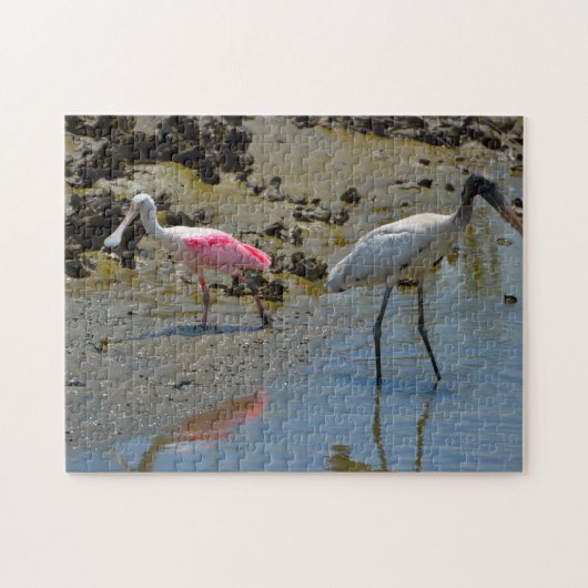 Lepelaar Houtooievaar Florida Legpuzzel (Horizontaal)