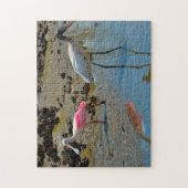 Lepelaar Houtooievaar Florida Legpuzzel (Verticaal)
