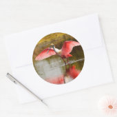 lepelaar ronde sticker (Envelop)