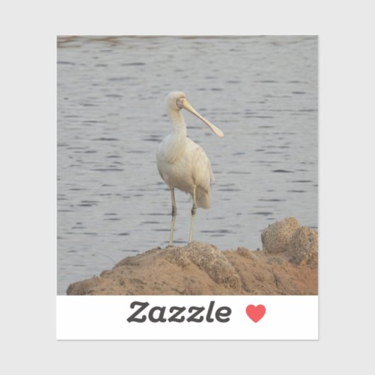 Lepelaar vogel sticker (Vel)