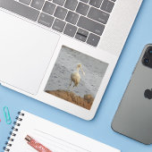 Lepelaar vogel sticker (Laptop met iPhone)