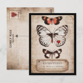 Lepidoptera Briefkaart (Voorkant / Achterkant)
