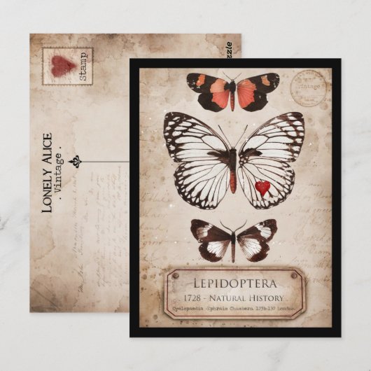 Lepidoptera Briefkaart (Voorkant / Achterkant)