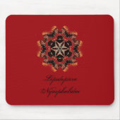 Lepidoptera Nymphalidae Muismat (Voorkant)