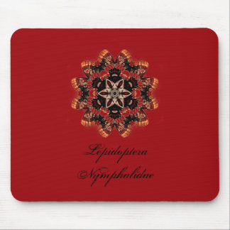 Lepidoptera Nymphalidae Muismat