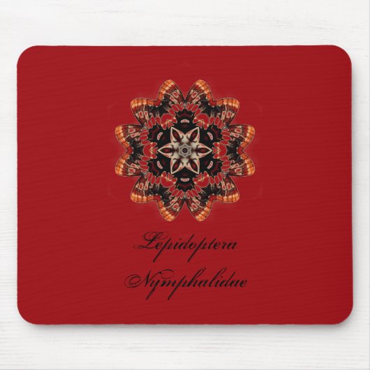 Lepidoptera Nymphalidae Muismat (Voorkant)