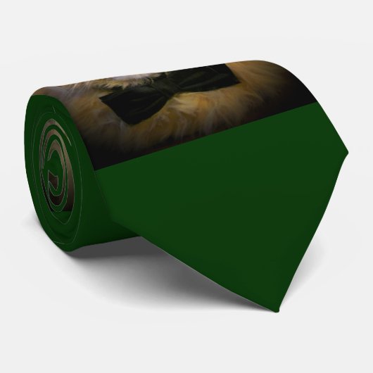 Leprechaun Cat in Green Stropdas (Opgerold)