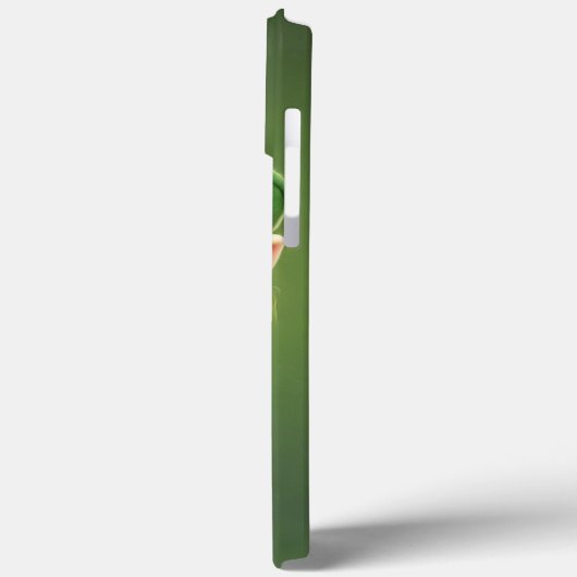 Leprechaun en Pot of Gold iPhone / iPad hoesje (Achterkant / Links)