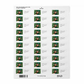 Leprechaun Etiket (Full Sheet)
