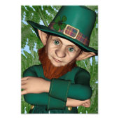 Leprechaun Foto Afdruk (Voorkant)
