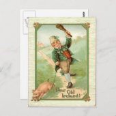 Leprechaun Pig Shillelagh St Patrick's Day Briefkaart (Voorkant / Achterkant)