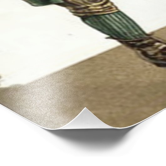 Leprechaun Shamrock Hobo Bindle Foto Afdruk (Hoek)