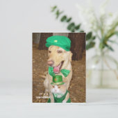 Leprechaun Sighting! Briefkaart (Staand voorkant)