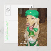 Leprechaun Sighting! Briefkaart (Voorkant / Achterkant)