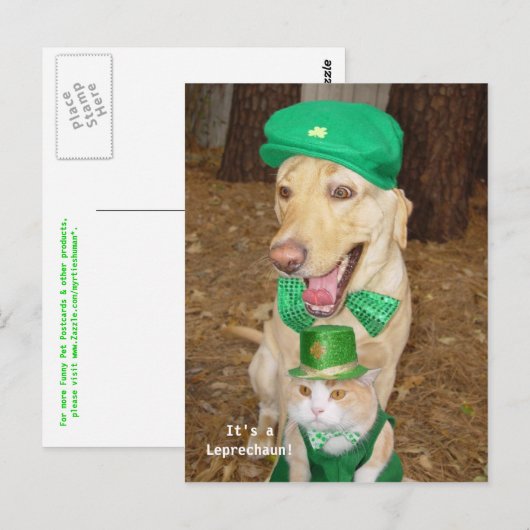 Leprechaun Sighting! Briefkaart (Voorkant / Achterkant)