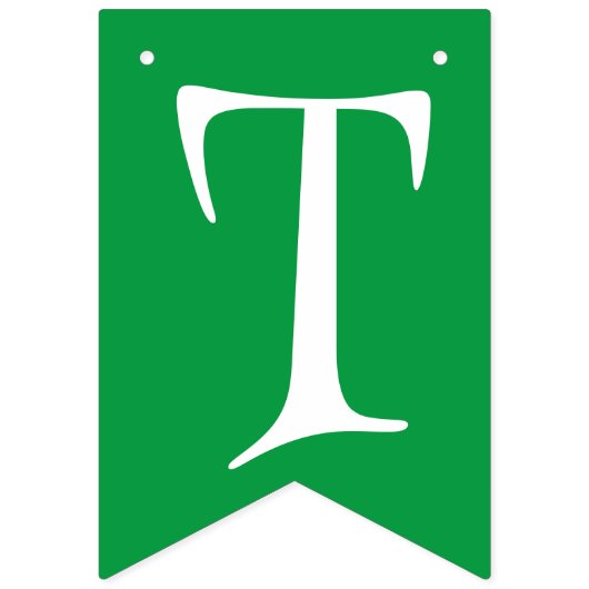 Leprechaun St Patrick's Day viering Vlaggetjes (Tweede vlag)